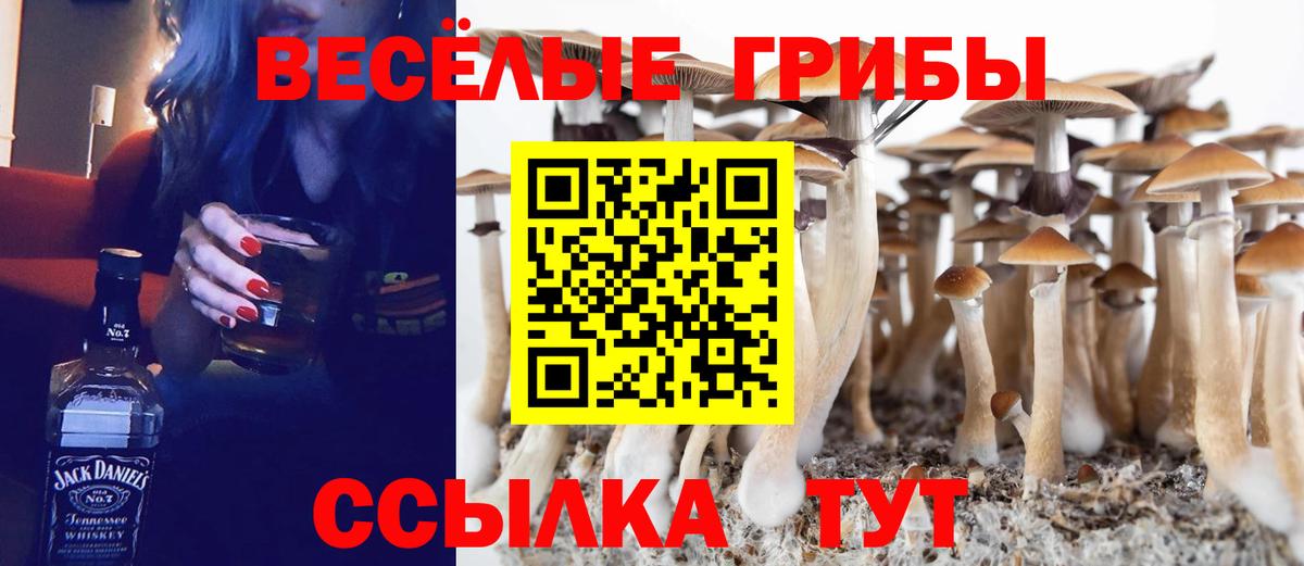 Майкоп  Псилоцибиновые грибы прущие грибы  Вход с VPN 